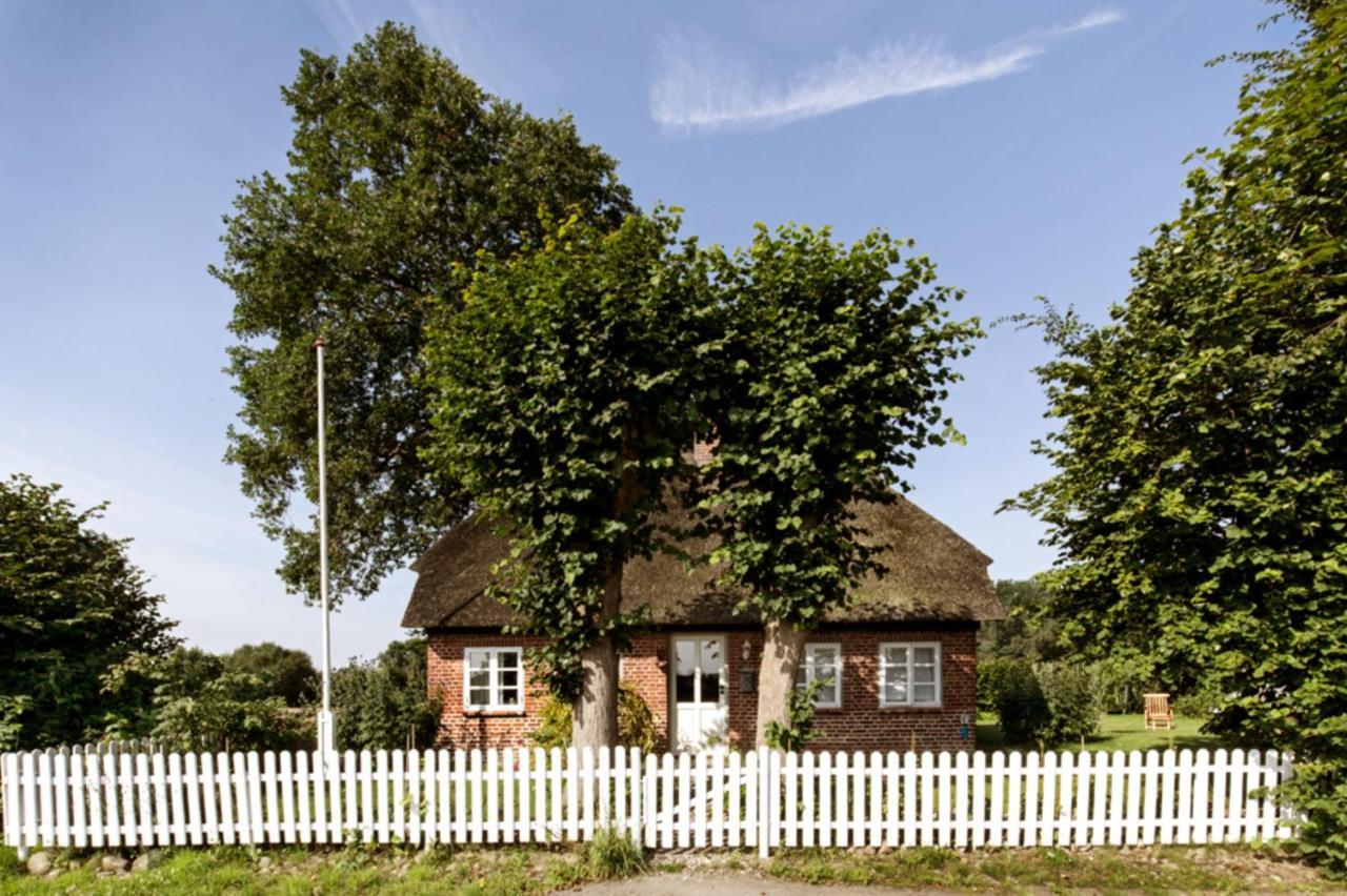Villa Reetdachhaus - Frau Schröders Mohrkirch Exterior foto
