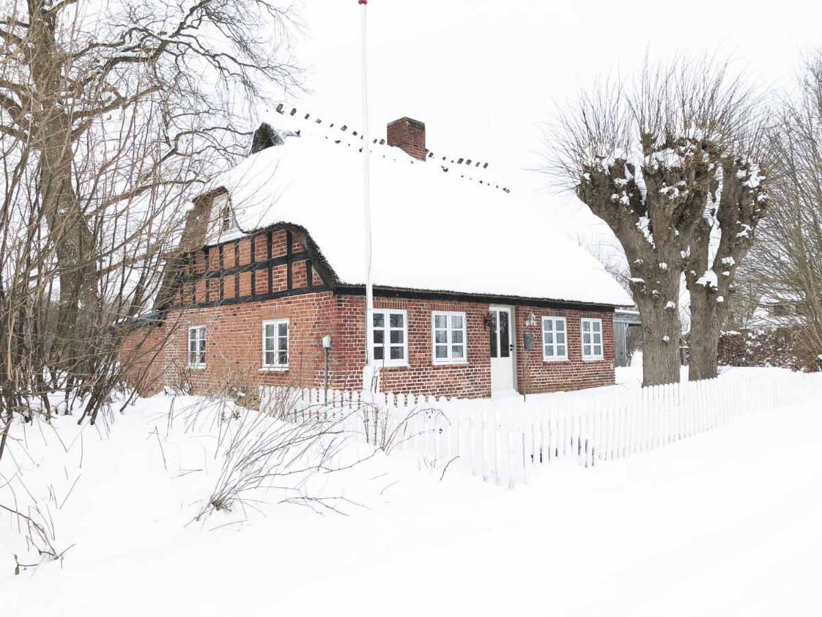 Villa Reetdachhaus - Frau Schröders Mohrkirch Exterior foto